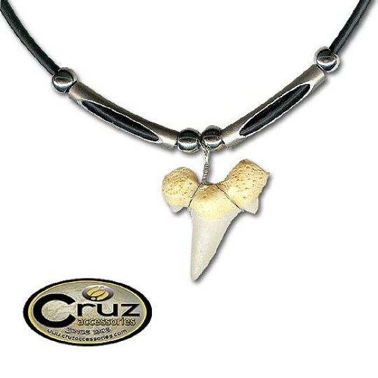 xl shark tooth necklace